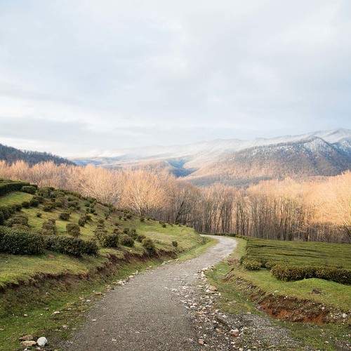 Photo #11258522