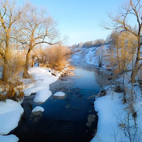 Photo #11258782