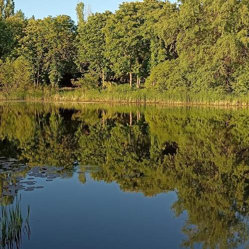 Photo #11258786