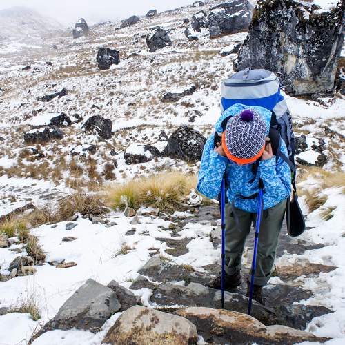 Photo #11258818