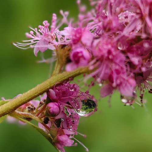 Photo #11258823