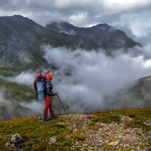 Photo #11258974