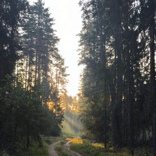 Вдохновение