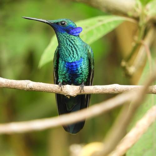 Photo #11259105