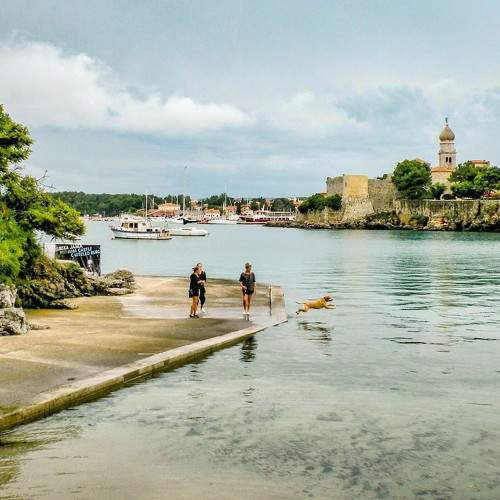 Photo #11259159