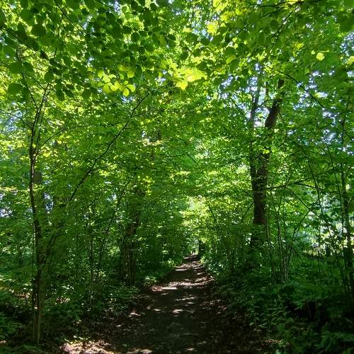 Photo #11259268