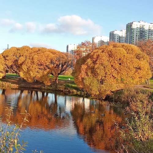 Photo #11259421