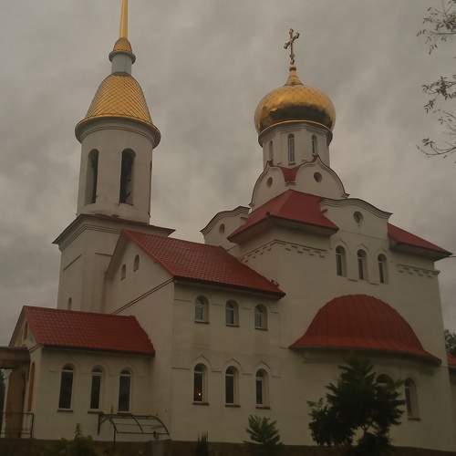 Photo #11259491