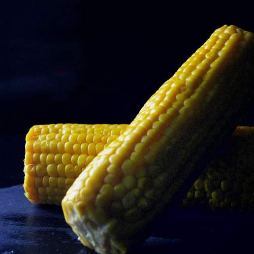 Photo #11259608