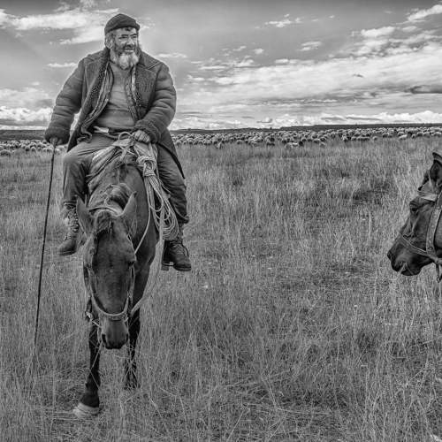 Photo #11259826