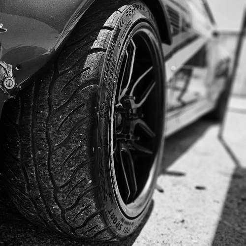 Photo #11259870