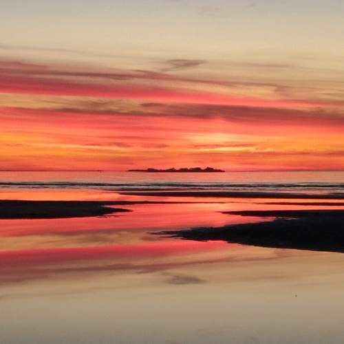 Photo #11260124