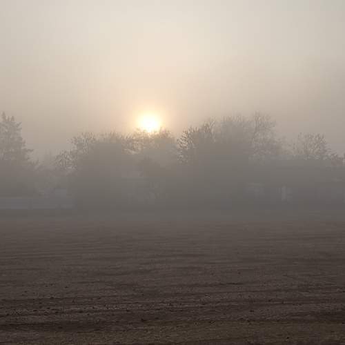 Photo #11260707