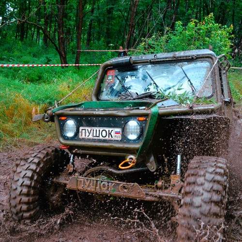 Photo #11260896