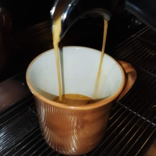 Photo #11260974