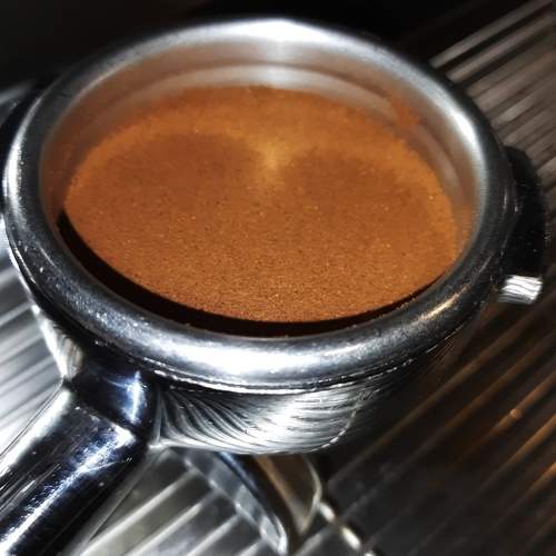 Photo #11260975