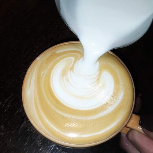 Photo #11260978