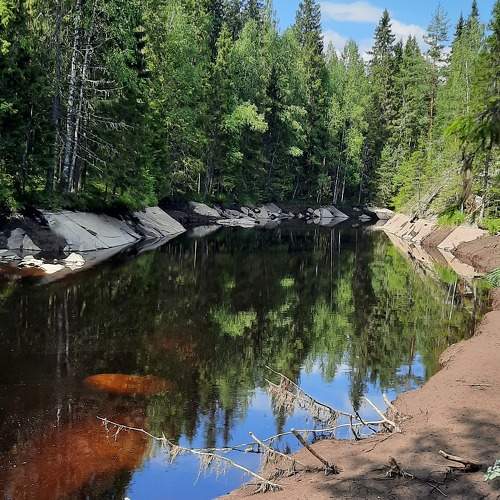 Photo #11261185