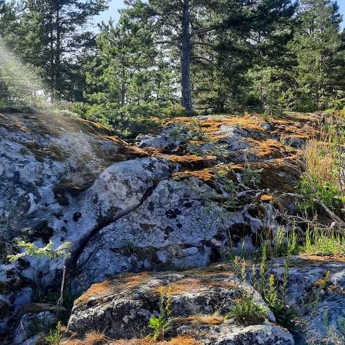 Photo #11261217