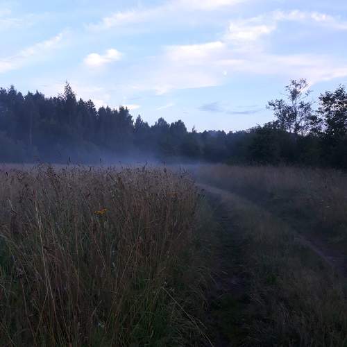 Photo #11261517