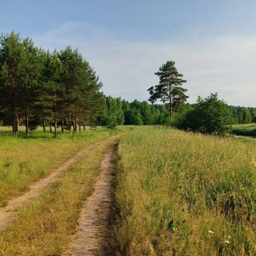 Photo #11261554