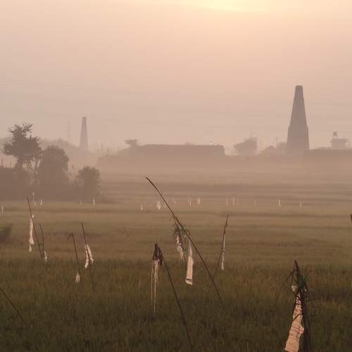 Photo #11261942