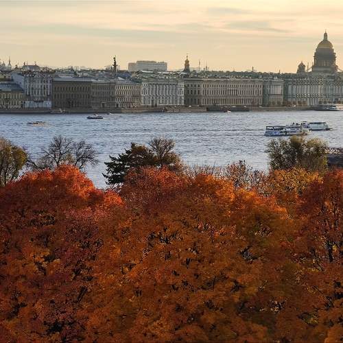 Photo #11262241