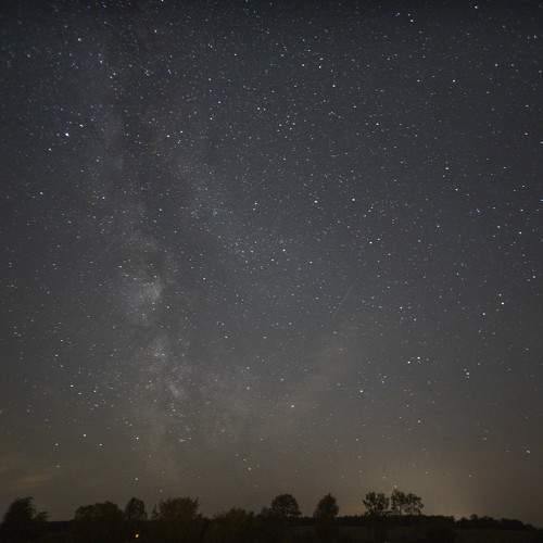 Photo #11262377