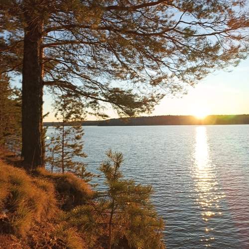 Photo #11262462
