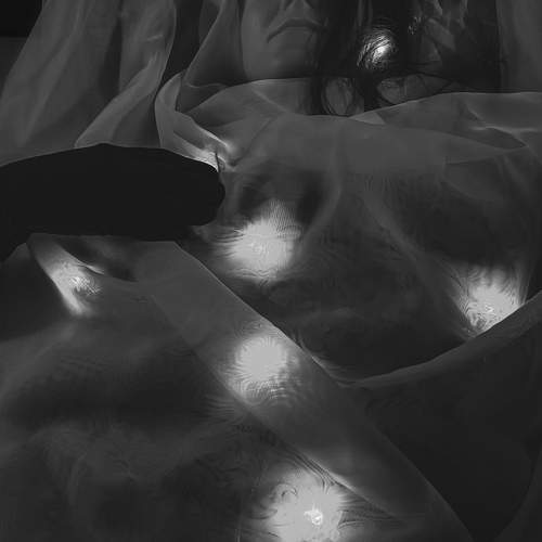 Photo #11262479