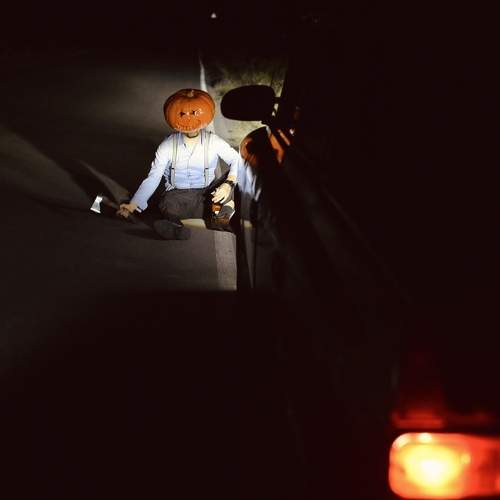 Photo #11262664
