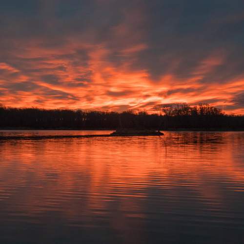 Photo #11262685