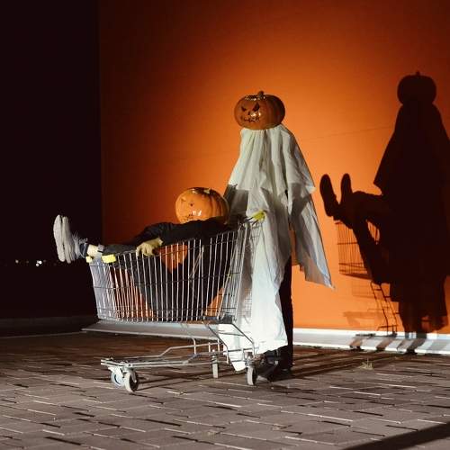 Photo #11262701