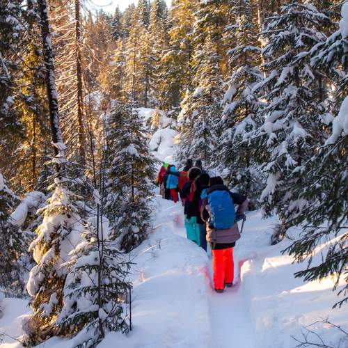 Photo #11263013