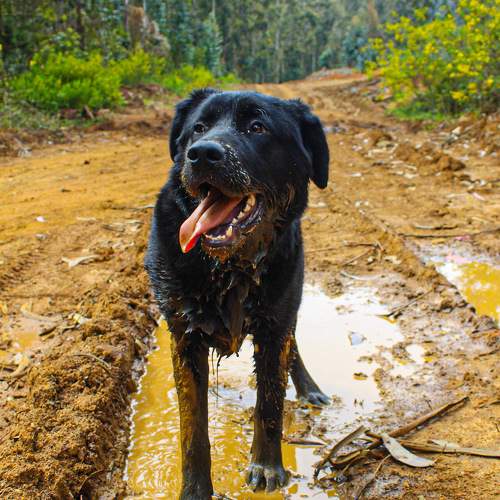 Photo #11263322