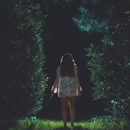 Photo #11263328