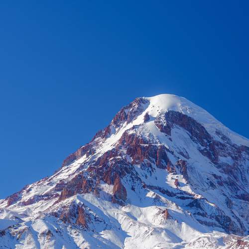 Photo #11263568