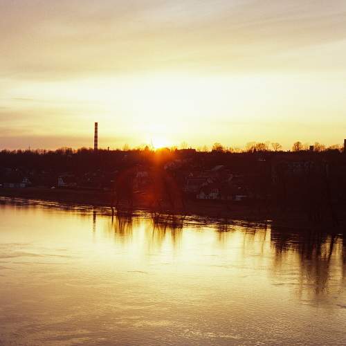 Photo #11263674
