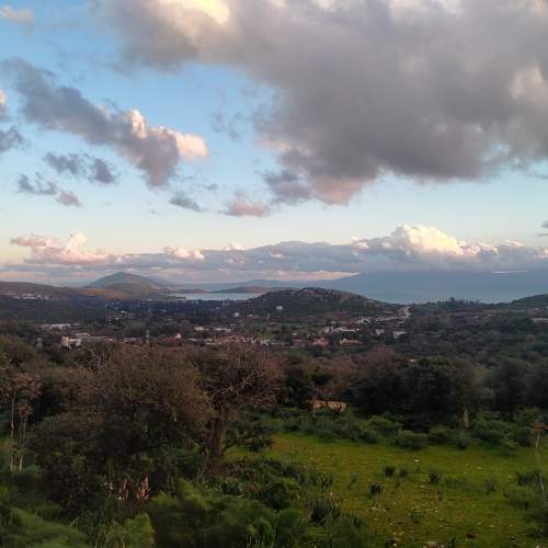 Photo #11263683