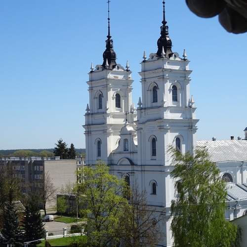 Photo #11263747
