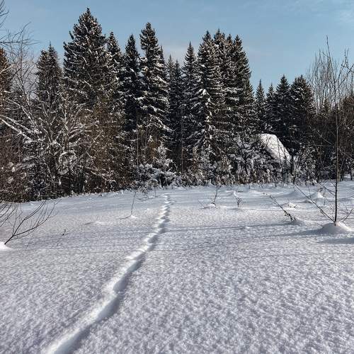 Photo #11263988