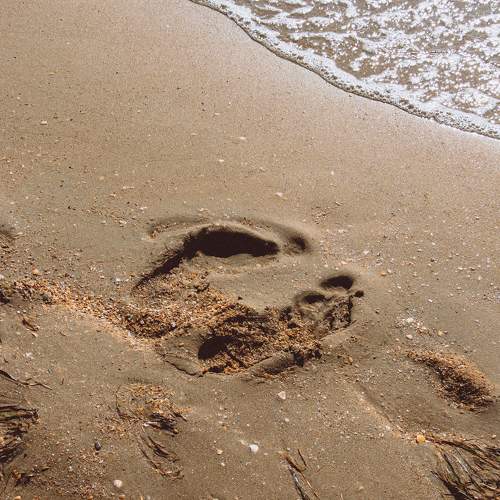Photo #11264434