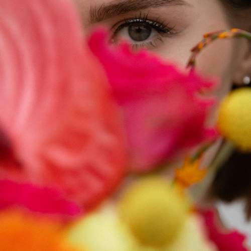 Photo #11264502