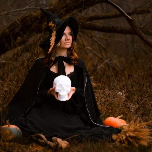 Photo #11264555