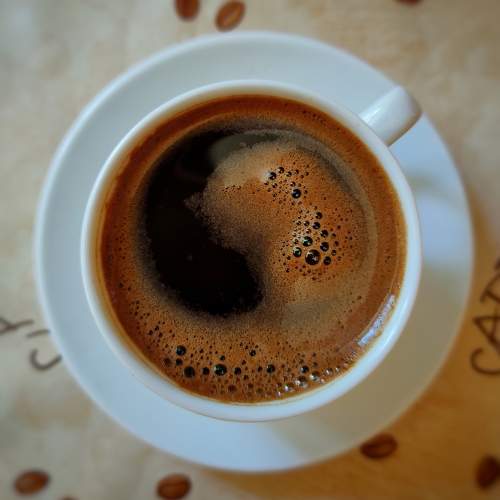 Photo #11264676