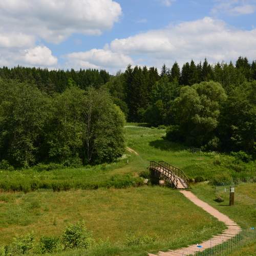 Photo #11264768