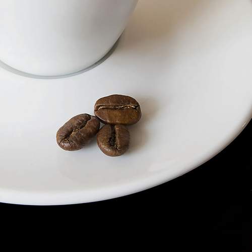 Photo #11264800