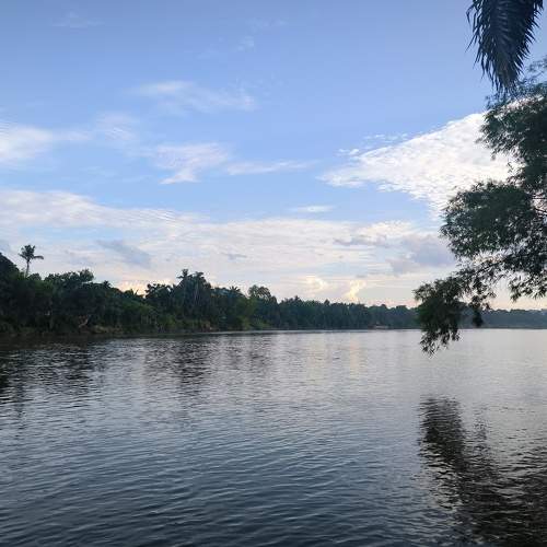 Photo #11264916