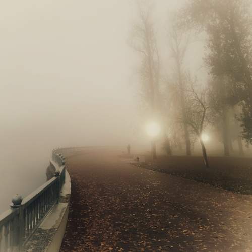 Photo #11265530