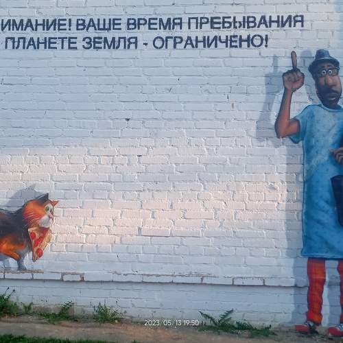 Photo #11265610